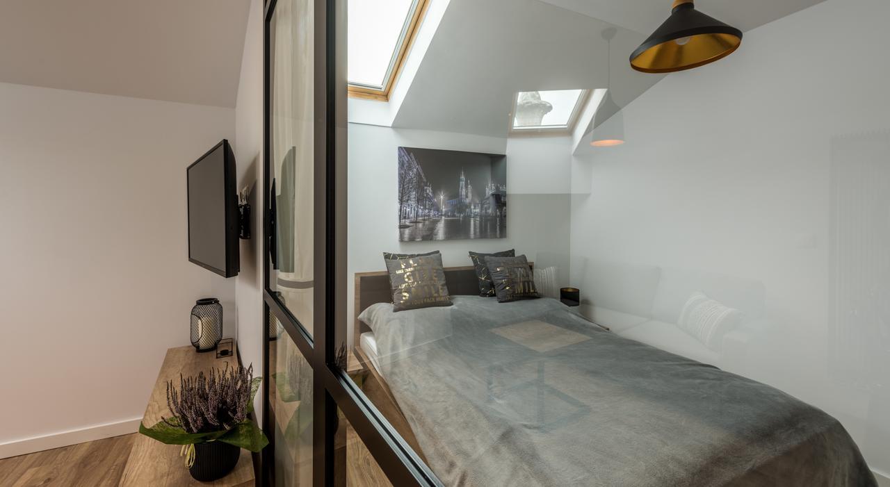 Downtown Cracow Apartment